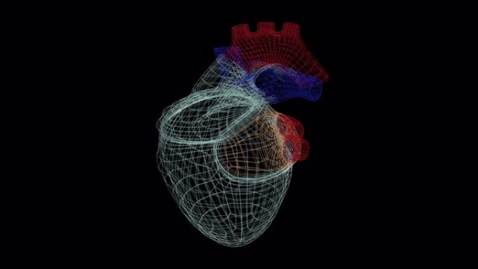 人体心脏的三维模型在监视器上旋转，具有视觉上的构造和跳动。