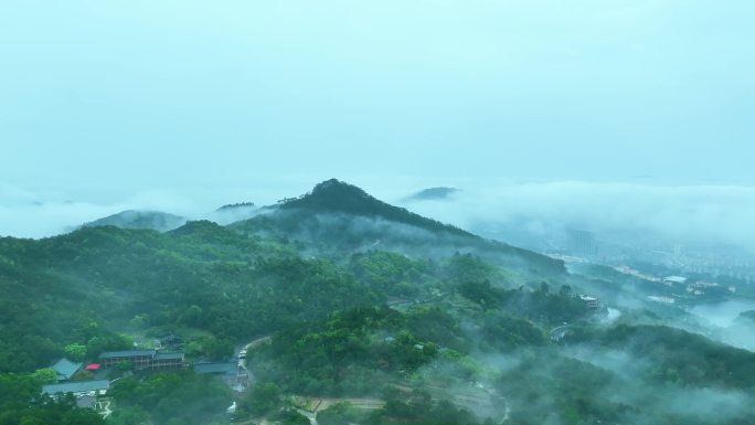 唯美意境的山顶雨雾仙境4K航拍-4