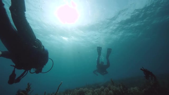 潜水员在蓝色阳光普照的海洋中水下游泳。