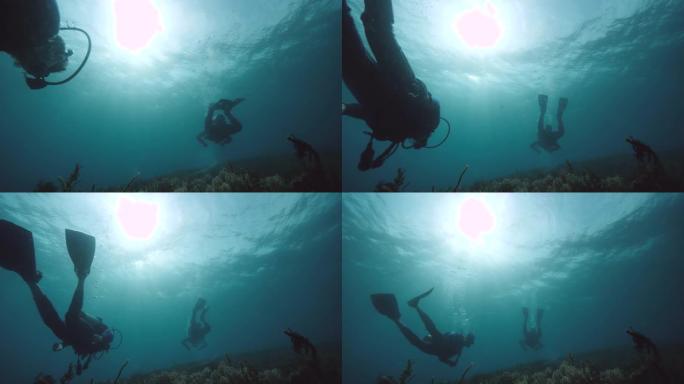 潜水员在蓝色阳光普照的海洋中水下游泳。