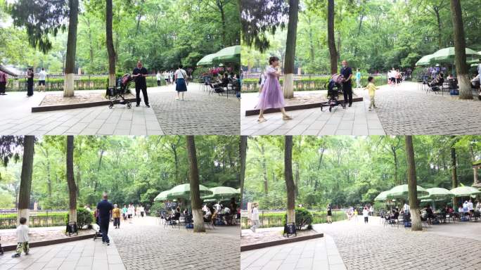 杭州动物园游客人流延时摄影