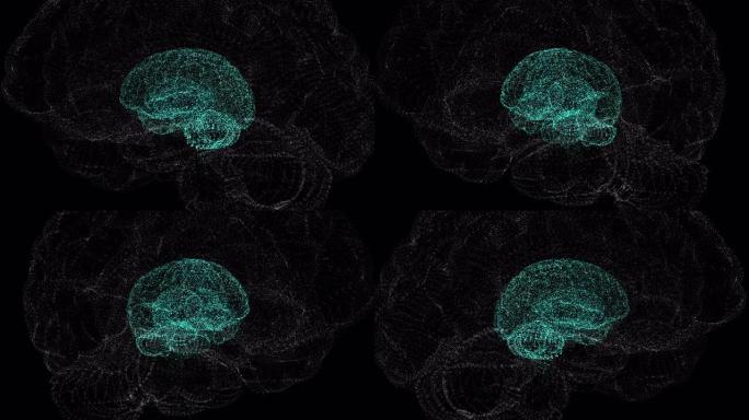 神奇地设计的人类大脑在另一个大脑框架内，漂浮在太空黑暗中。