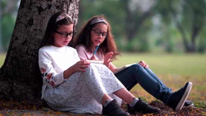 两个漂亮的年轻女孩和朋友一起记下你的笔记，然后在公园里玩耍，阳光明媚的秋天，在公园里说笑