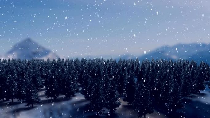 降雪和枞树降雪和枞树