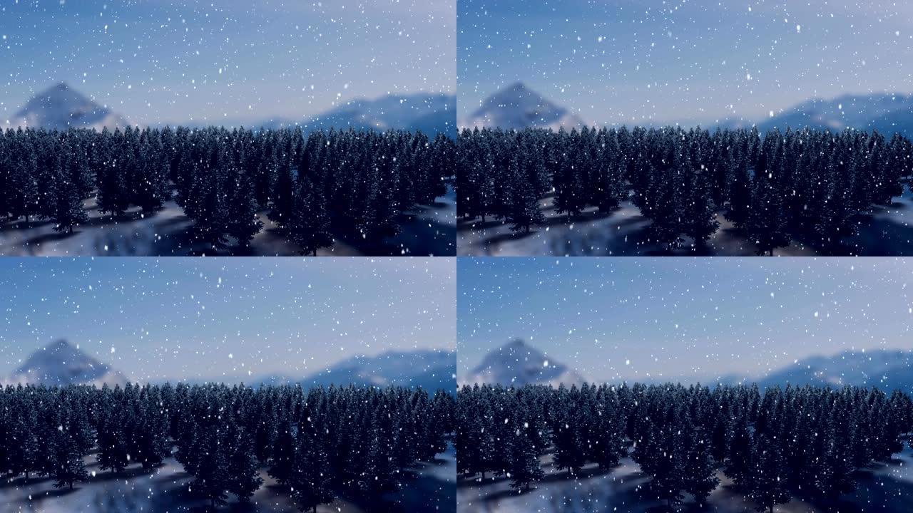 降雪和枞树降雪和枞树