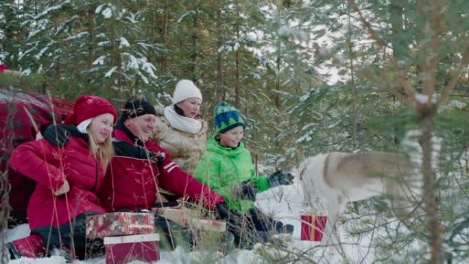 圣诞节假期，戴着红帽的幸福家庭在白雪皑皑的森林中休息。妈妈，爸爸，女儿和儿子在新年假期在冬季林地与狗