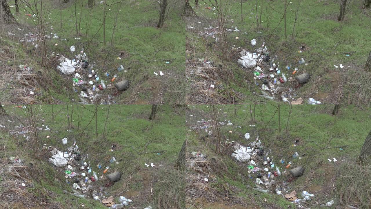 元素在森林郊区附近的路边倾倒塑料垃圾。塑料和其他废物对环境的污染。树间草地上的塑料碎片。环境塑料污染
