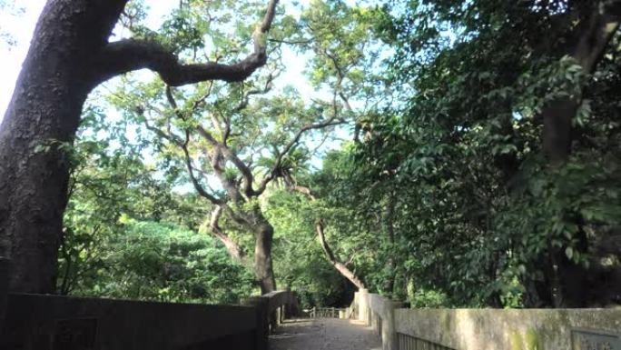 冲绳那霸苏吉公园公园环境公园特写公园空镜