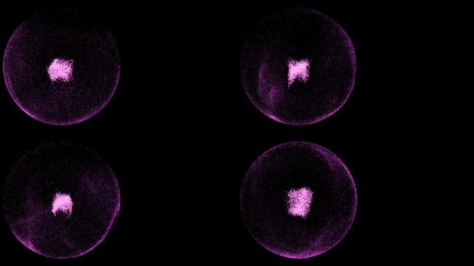 从黑色背景上的小漩涡颗粒抽象设计的胎儿视频。