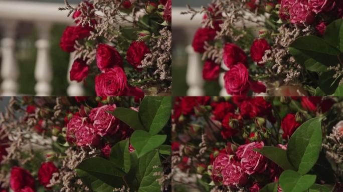 户外夏日节日红玫瑰花束特写视图