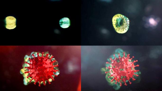 冠状病毒创造三维立体冠状病毒模型