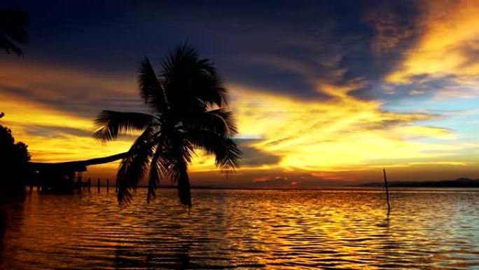 椰子树对抗五颜六色的日落