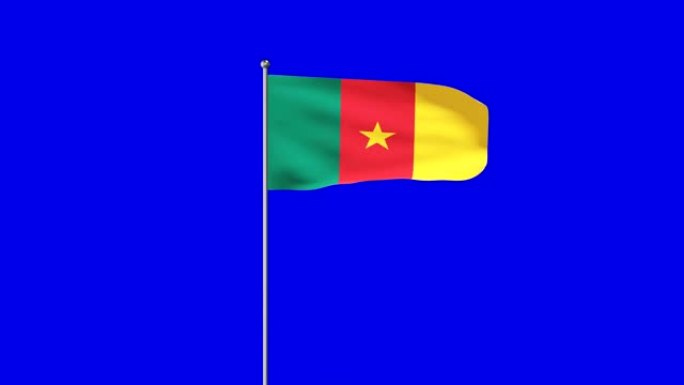 喀麦隆升起的旗帜旗子飘飘飘扬