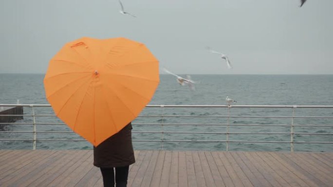 穿着橙色雨伞的女人在心形享受海鸥的海景
