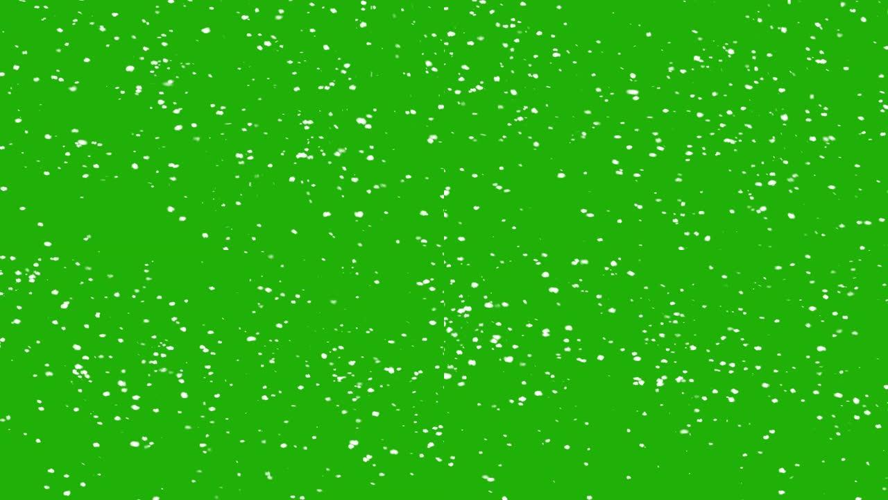 降雪无缝循环。隔离在绿屏色度键雪花上