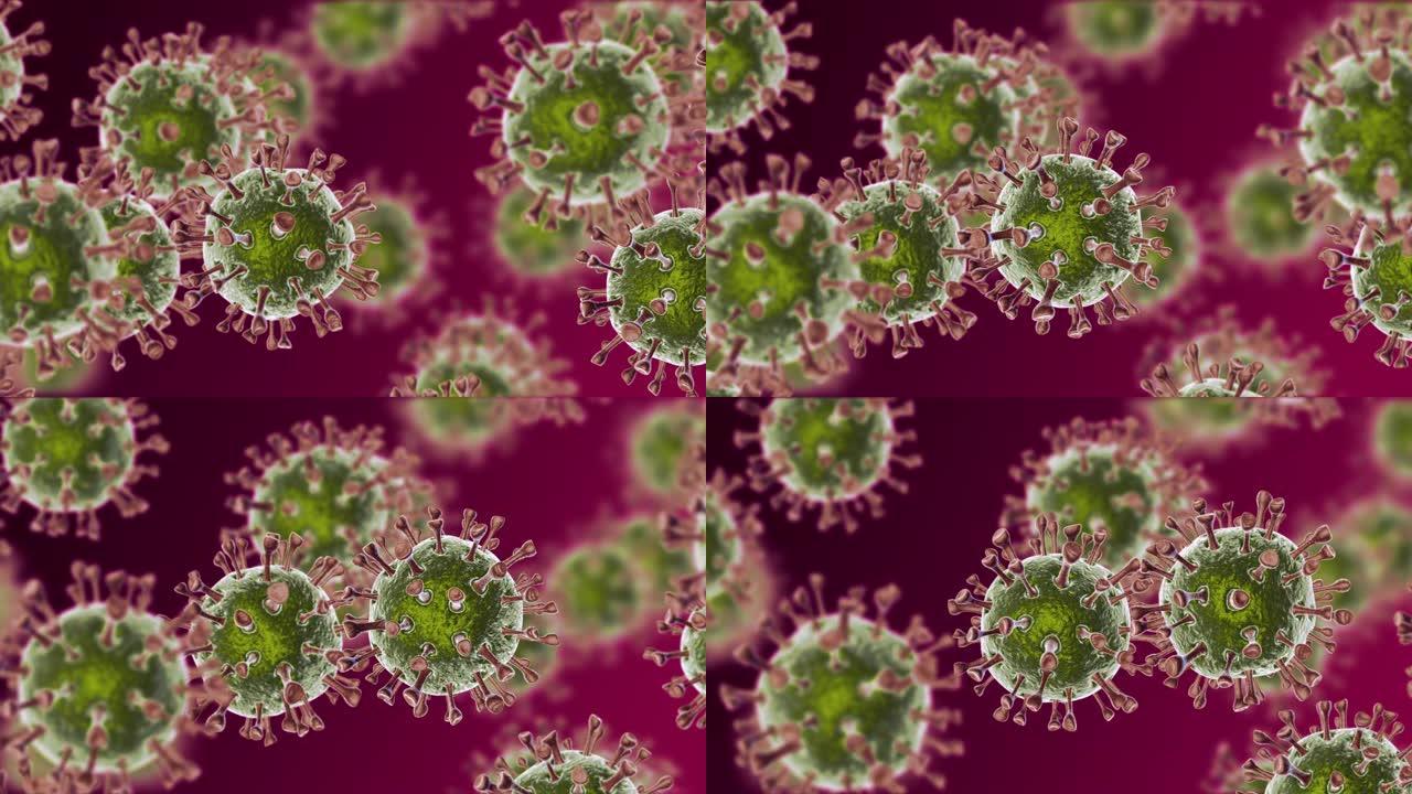冠状病毒的3D动画
