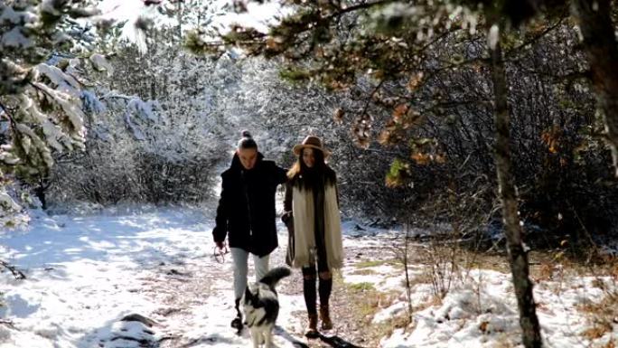 阳光明媚的冬日，带着哈士奇狗的跑车在白雪皑皑的森林里玩得开心