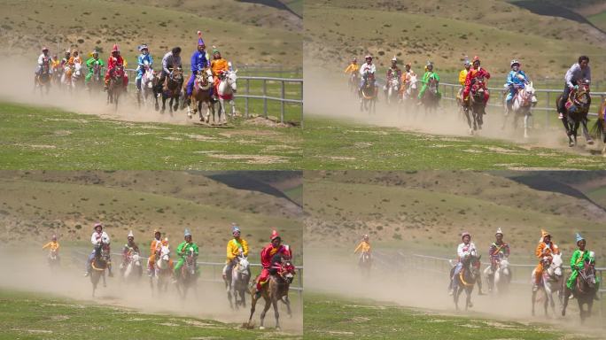 甘南草原 藏族赛马比赛活动 赛马 赛事