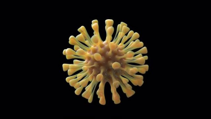 冠状病毒孤立粒子环黄色