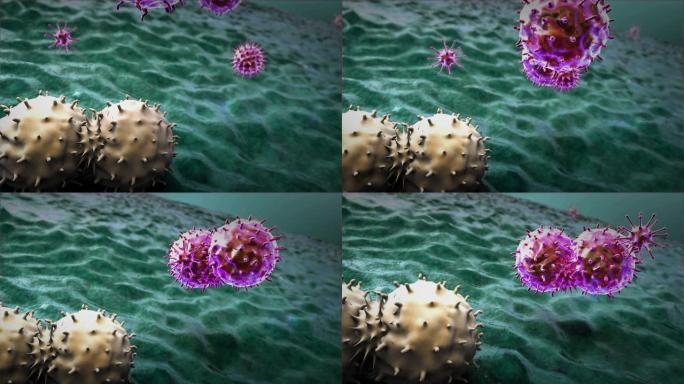 3d渲染巨噬细胞和病毒