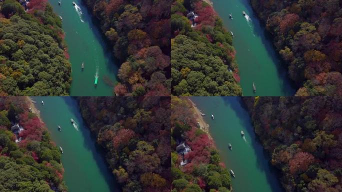 五颜六色的岚山河鸟瞰图，水中的旅游船和秋天的森林，秋天的桂川和船，岚山，京都，日本。