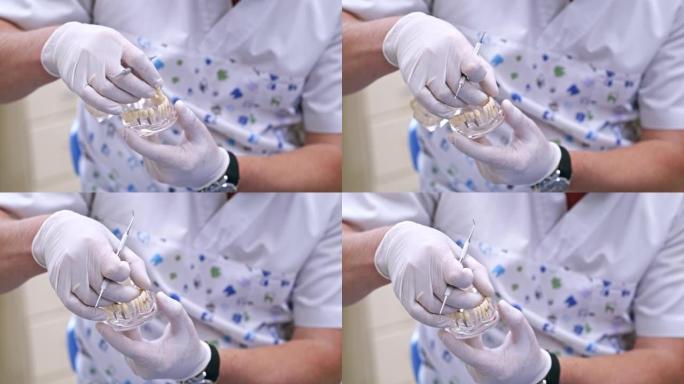 医生显示在一个塑料颚样本或模型不同的牙齿治疗方法。