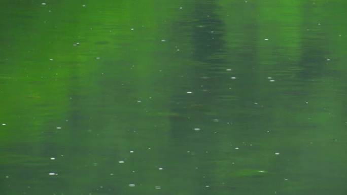 雨水落在绿色的湖上