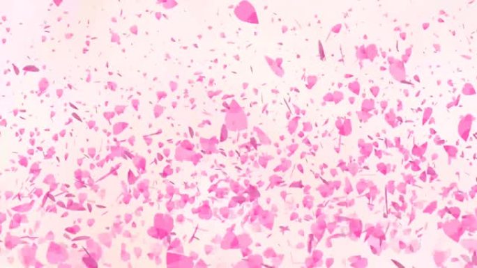 百万粉红樱花叶子漂浮在空中飞翔