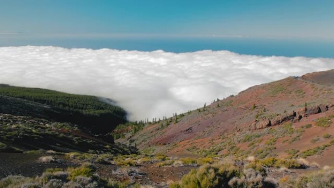 美丽的风景，云海和森林。山谷上方有云海的景观，山脊覆盖着森林