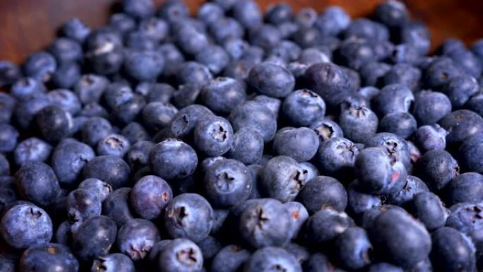 新鲜采摘的蓝莓新鲜采摘的蓝莓