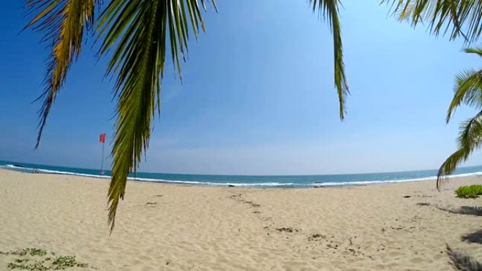 平静的海滩，蓝天和大海，绿色的棕榈树