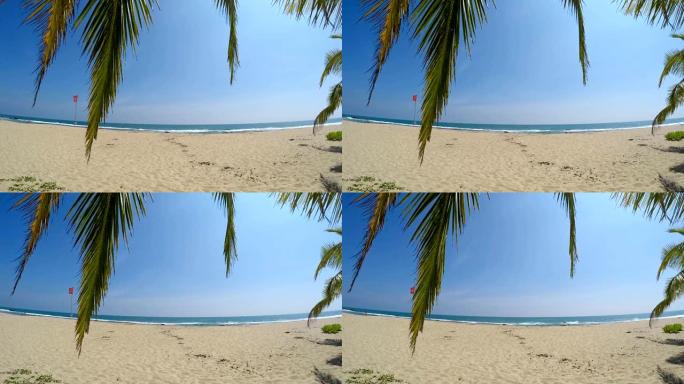 平静的海滩，蓝天和大海，绿色的棕榈树