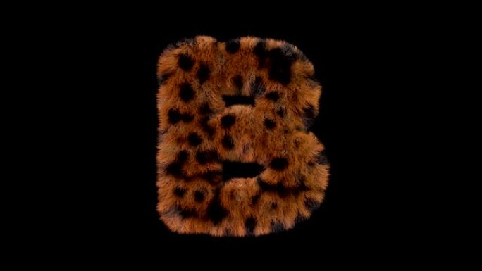 豹子毛茸茸的动画毛茸茸的字母B