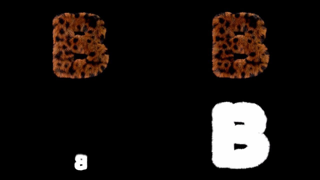 豹子毛茸茸的动画毛茸茸的字母B