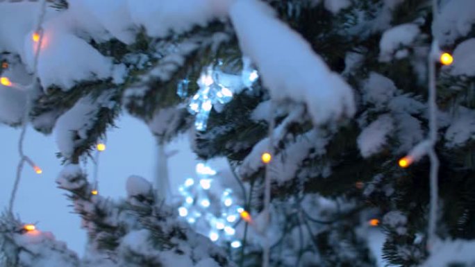 雪下的户外圣诞树圣诞树雪景
