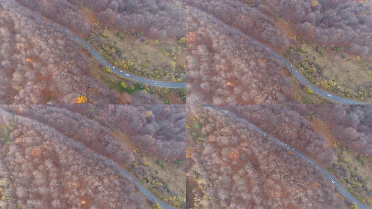无人机追逐汽车在秋天的山区森林上坡的柏油路上行驶