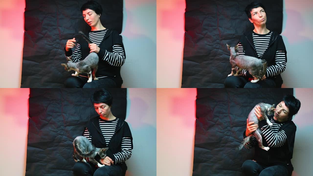 德文雷克斯猫跪在主人身上的特写镜头。