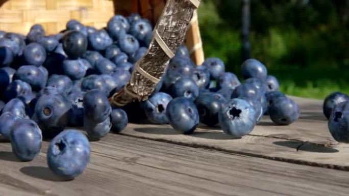 蓝莓在木桌上朝着相机滚动