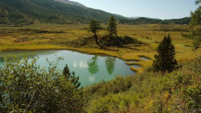 俄罗斯阿尔泰的山湖。湖周围风景如画的黄色田野。