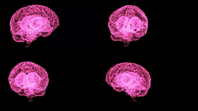 开放空间中粉红色人脑解剖模型的摘要视图。