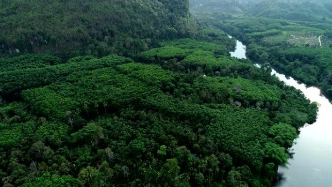 无人机镜头在雨林高山上飞起