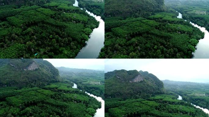 无人机镜头在雨林高山上飞起