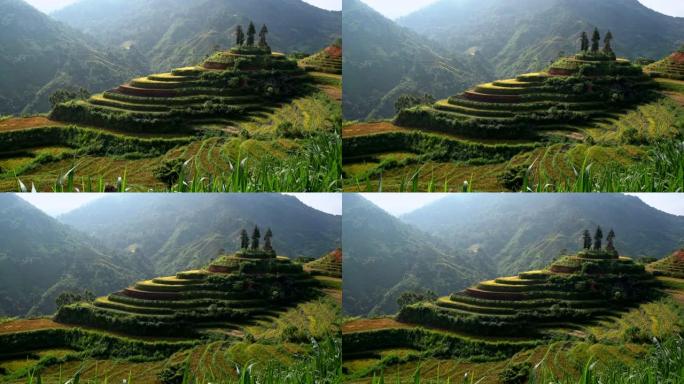 越南北部，山区梯田上的稻田形状美丽。