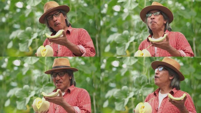 亚洲高级农民测试瓜类作物品种研发，转基因食品，生物食品概念，享受饮食