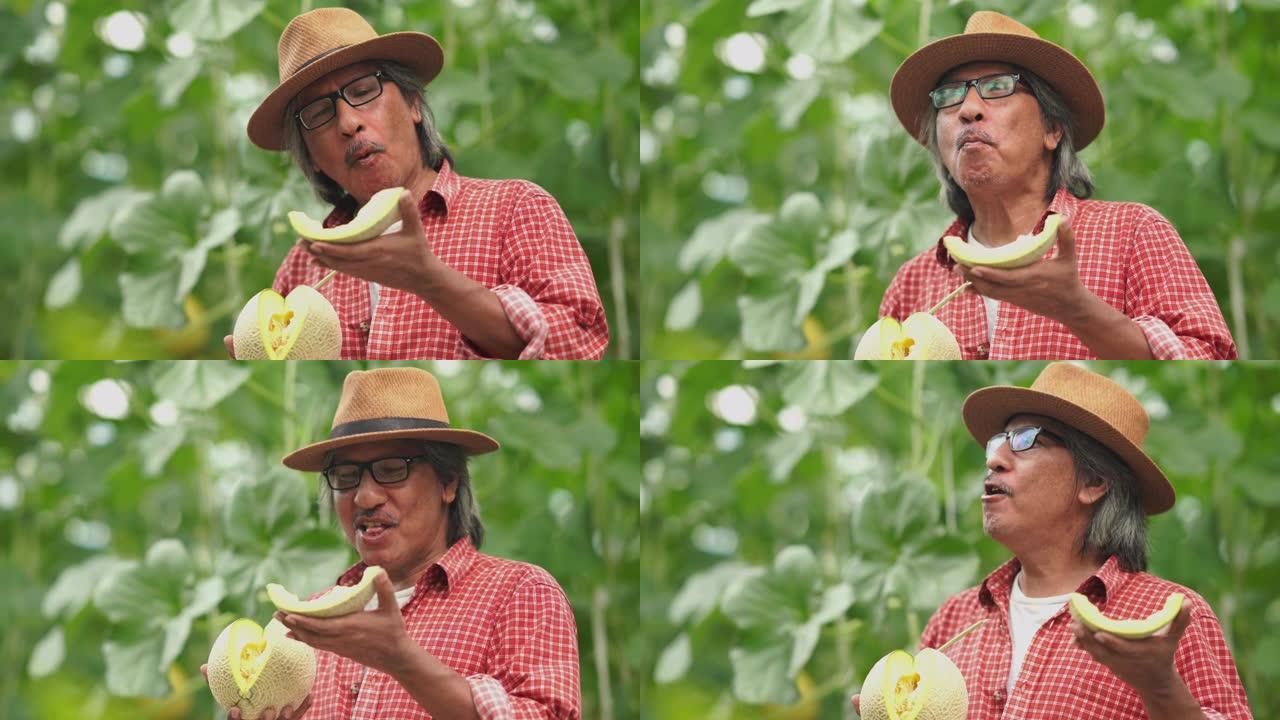 亚洲高级农民测试瓜类作物品种研发，转基因食品，生物食品概念，享受饮食