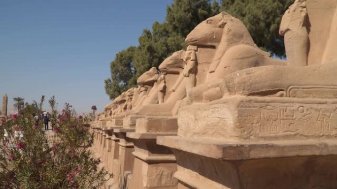卡纳克神庙。有拉姆头的狮身人面像大道。在卢克索周围。埃及。