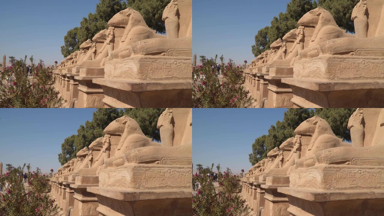 卡纳克神庙。有拉姆头的狮身人面像大道。在卢克索周围。埃及。