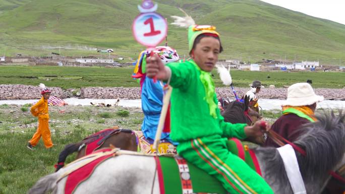 山南赛马节 高原马 西藏马 马匹骑马木马