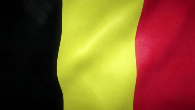 在风中飘扬的比利时国旗