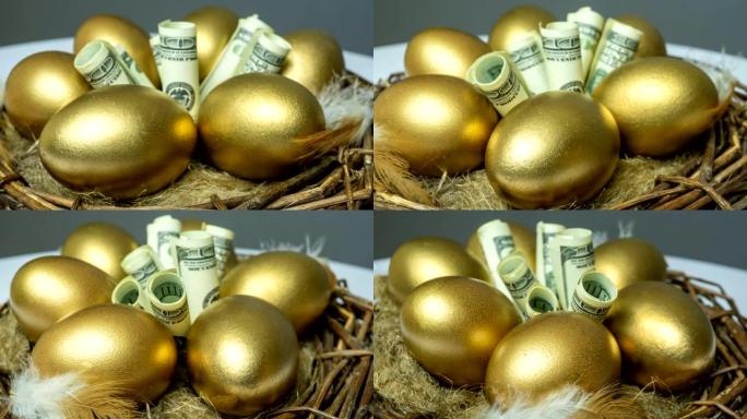 金蛋在鸟巢，带钞票，投资概念，退休储蓄